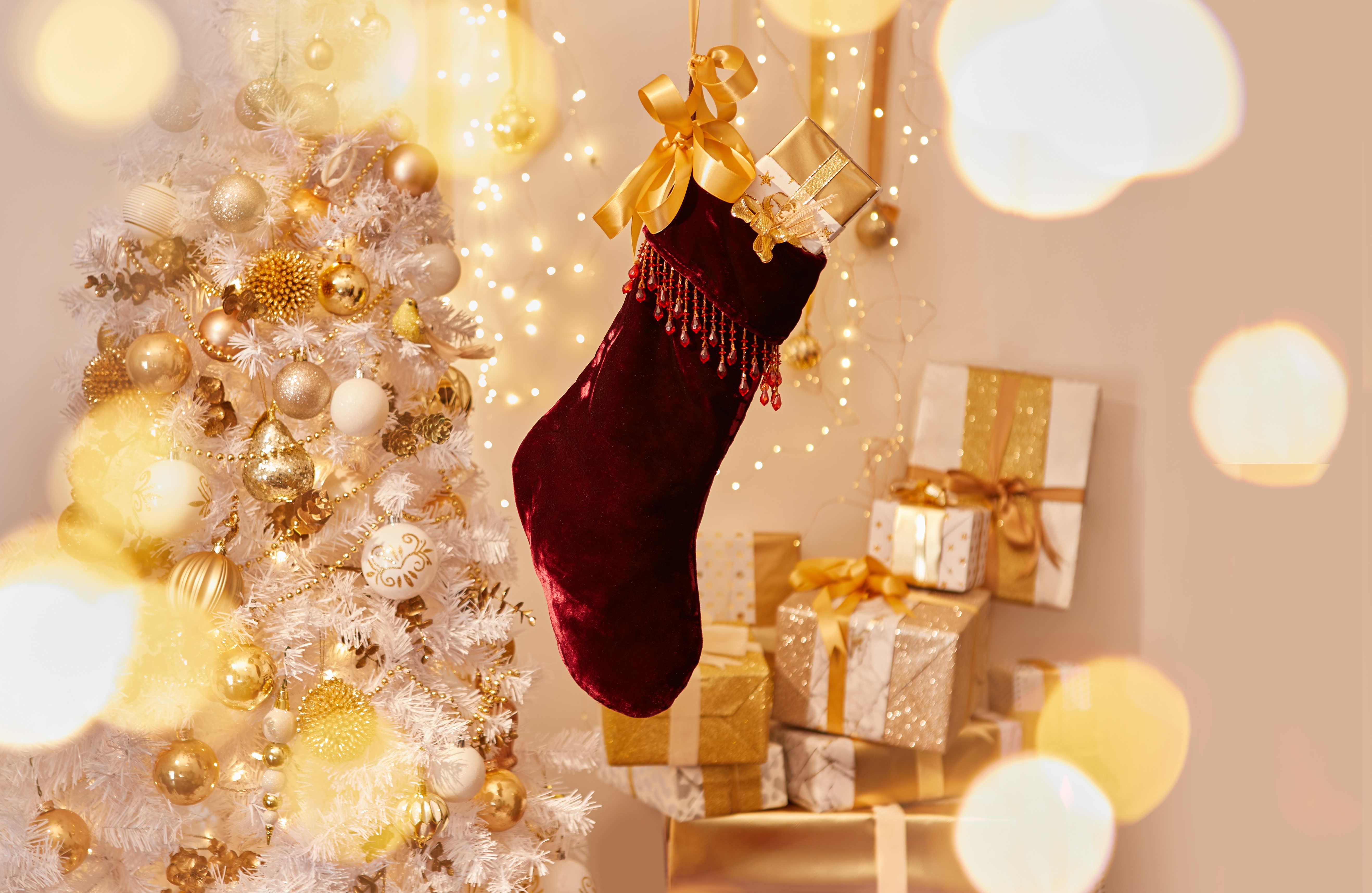 2021_7_5_MRD_Christmas_4783 (1) 2021_7_5_MRD_Christmas_4783 (1)