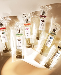 MRO Sisley Fragrance Category