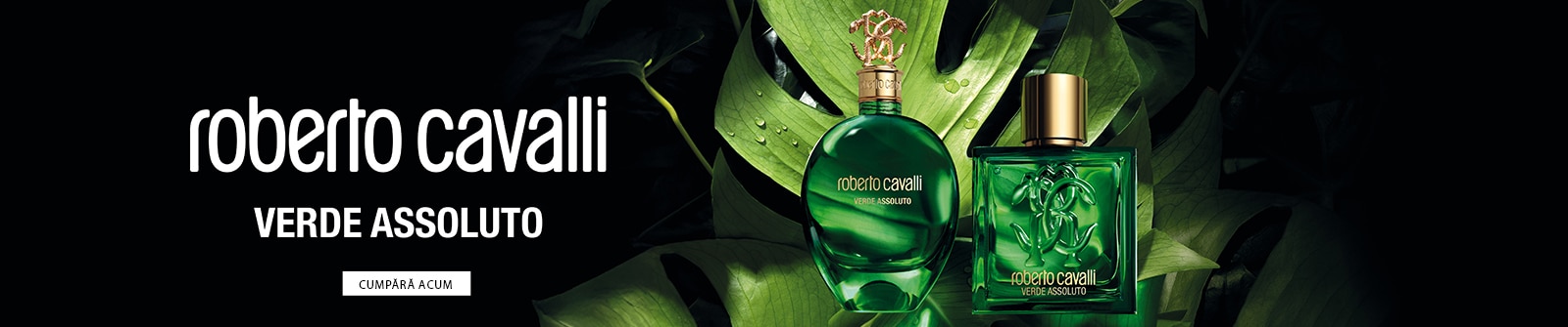 Cavalli Verde - 1600x335.JPG