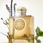 30 ML Burberry GODDESS Burberry Goddess Eau de Parfum Intense for Women 5 of 8 Burberry Goddess Eau de Parfum Intense for Women