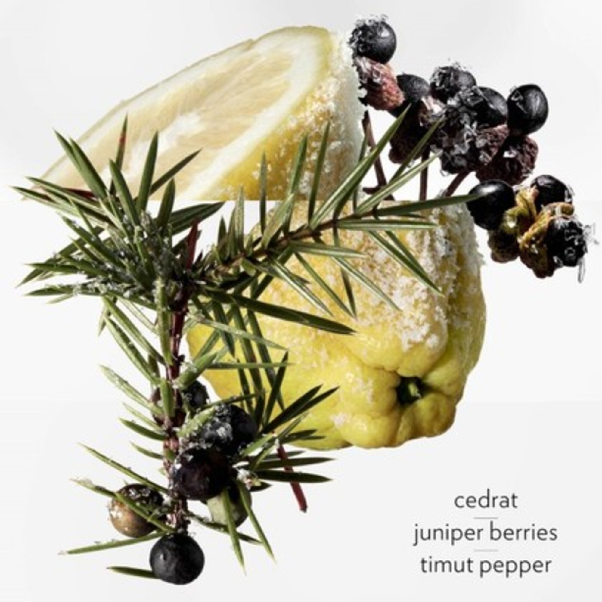 Terre d Hermes Eau Givree Apa de Parfum