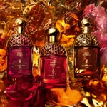 125 ML GUERLAIN Absolus Allegoria Absolus Allegoria Ambre Samar Apa de Parfum 2 of 4 Absolus Allegoria Ambre Samar Apa de Parfum