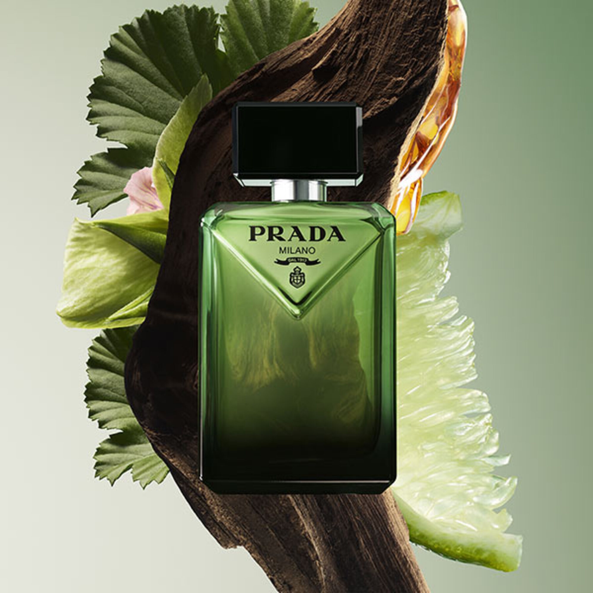 Prada Paradigme Apa de Parfum