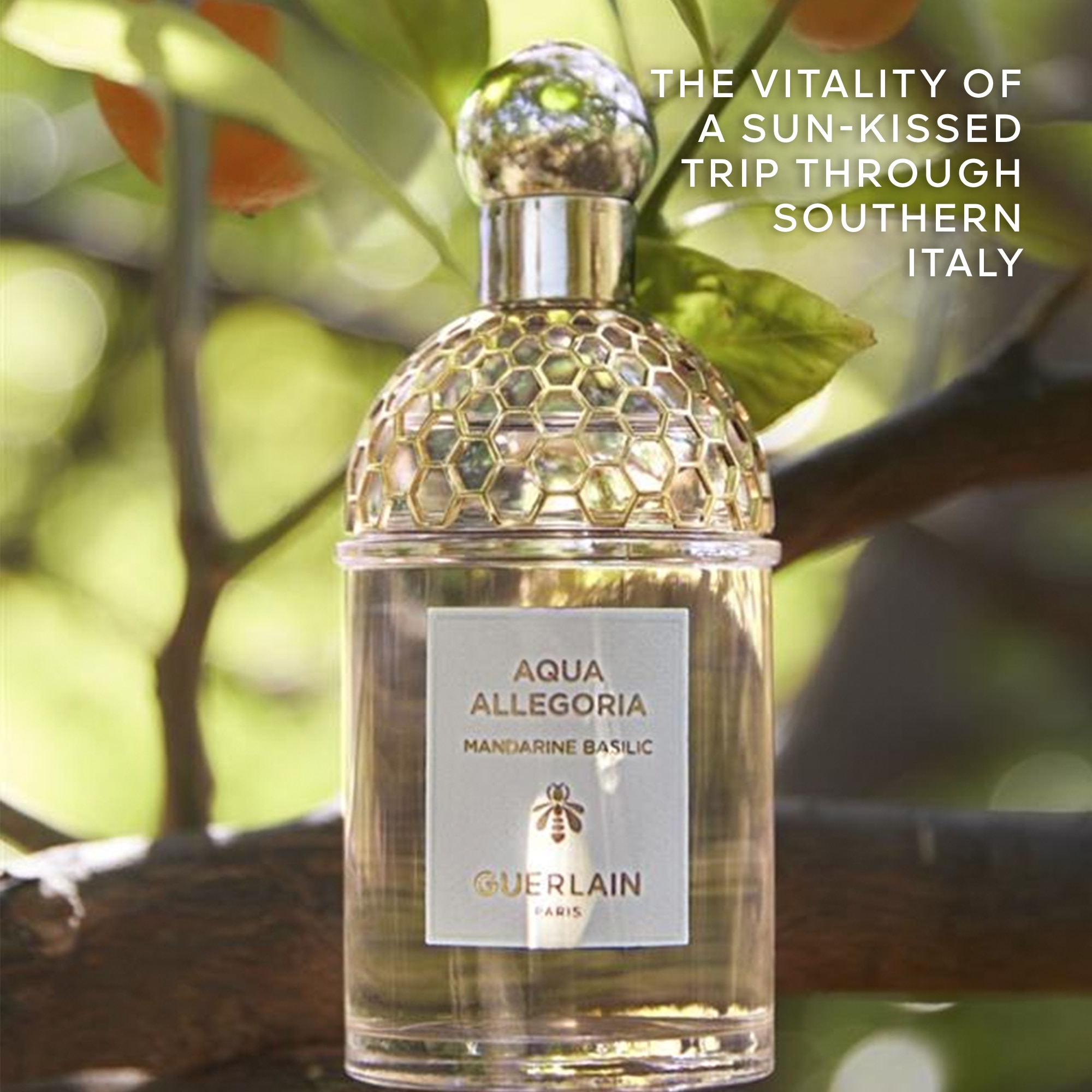 Aqua Allegoria Mandarine Basilic Apa de Toaleta