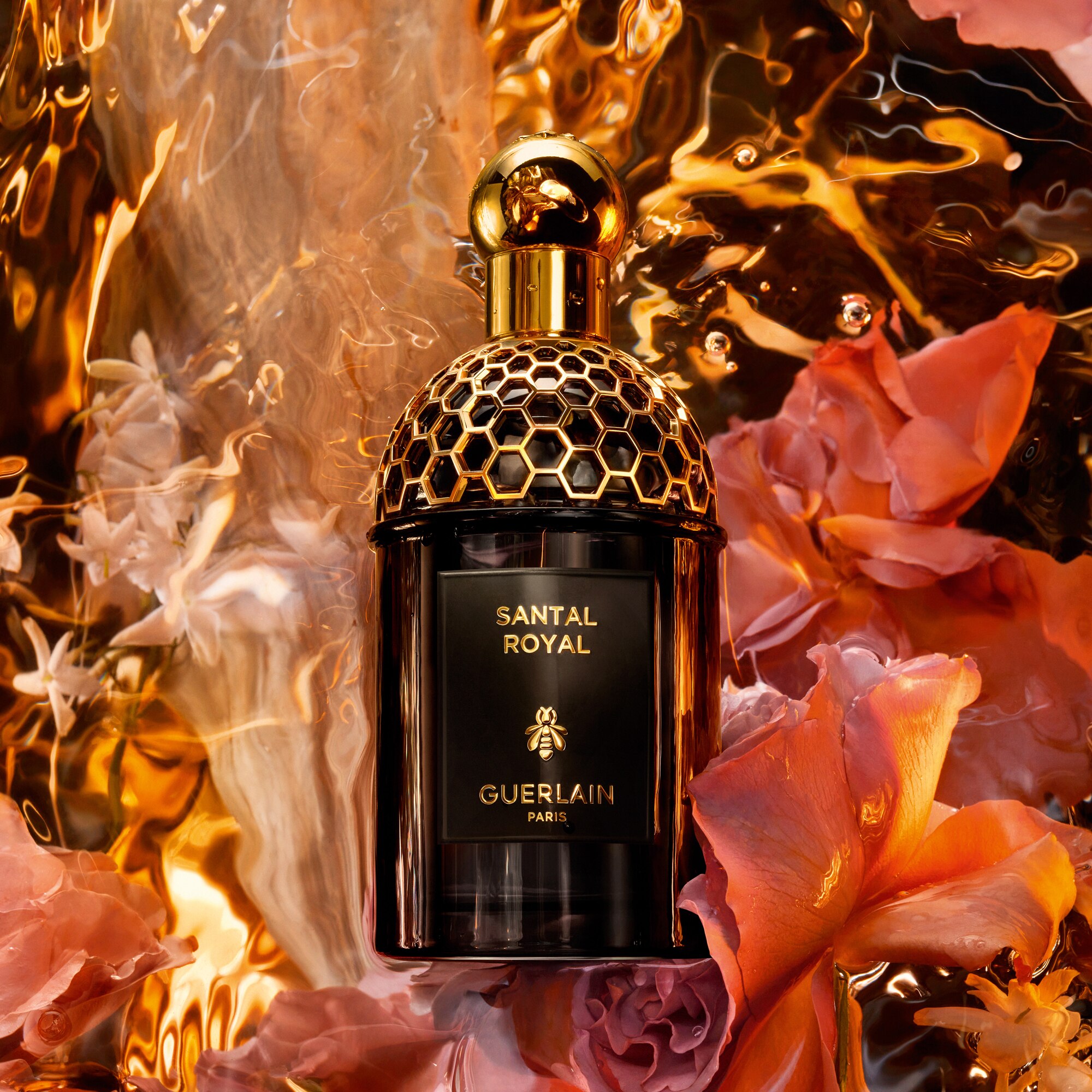 125 ML GUERLAIN Absolus Allegoria Absolus Allegoria Santal Royal Apa de Parfum 1 of 3