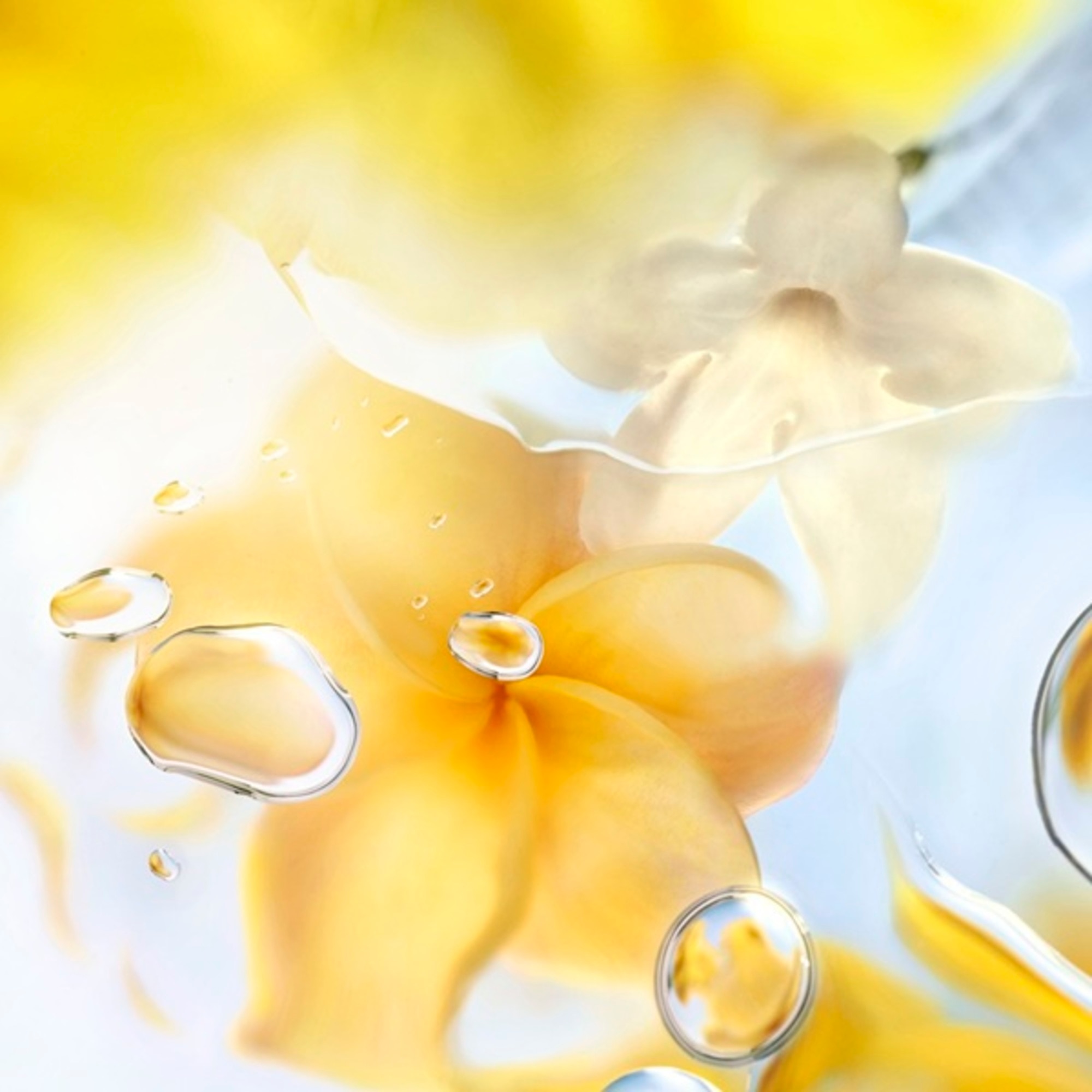 Ô Zenith Apa de Toaleta