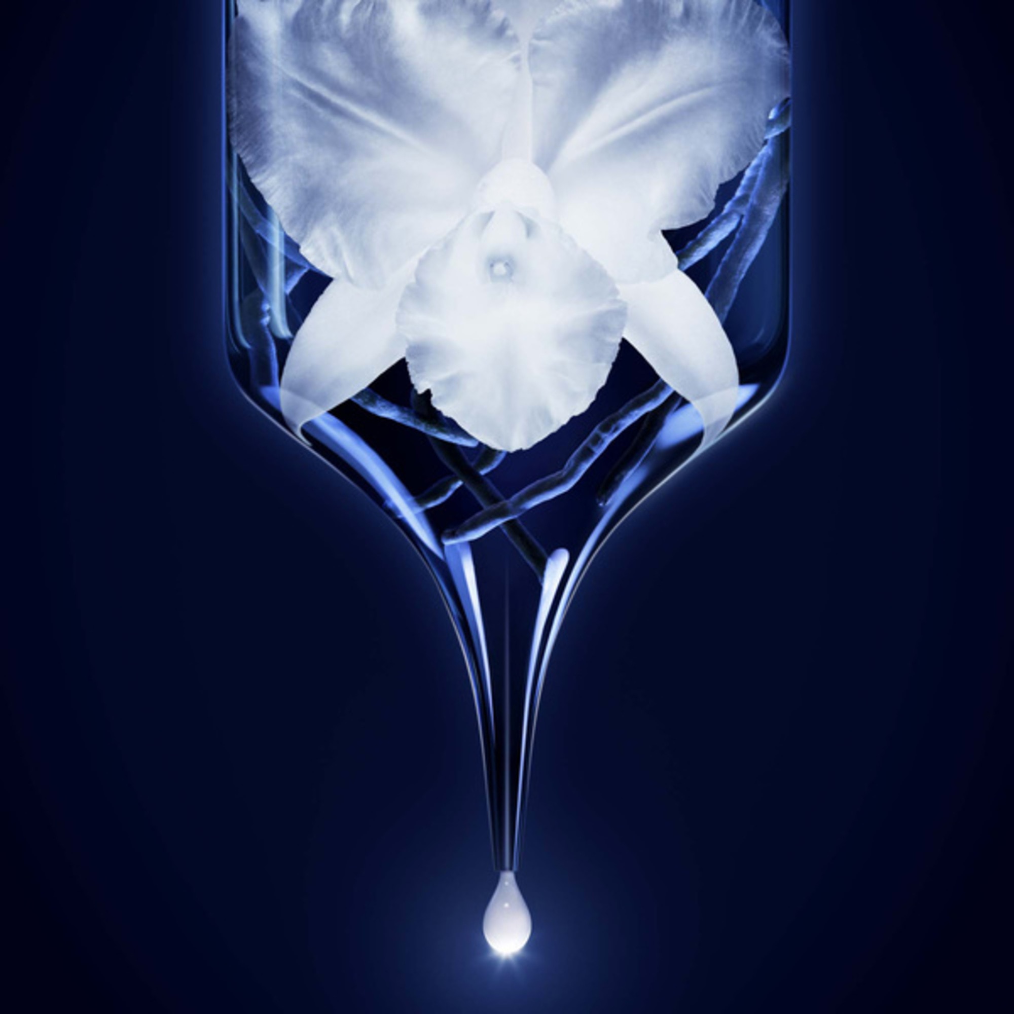 Lotiune Orchidee Imperiale - The Essence-In-Lotion