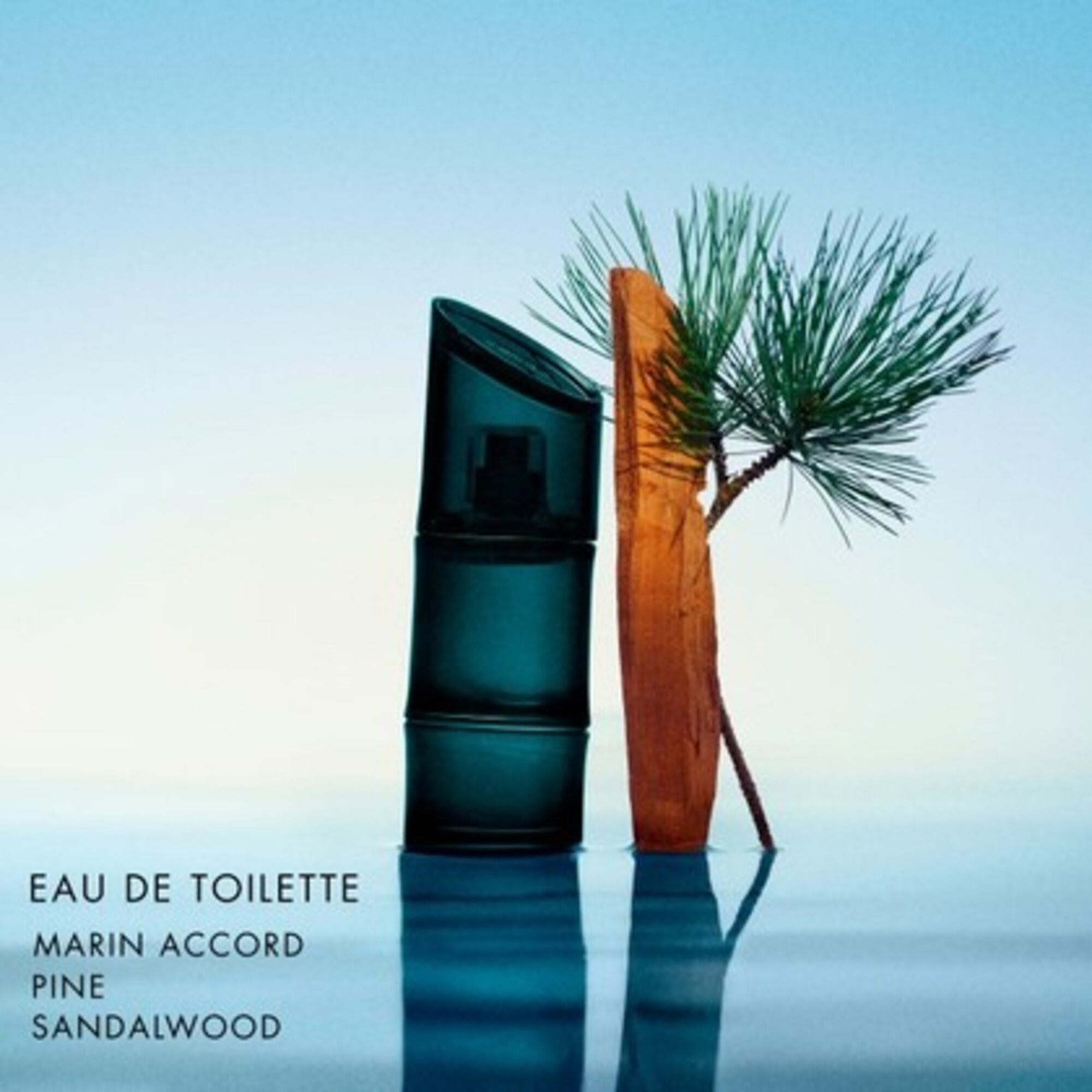 Kenzo Homme Apa de Toaleta