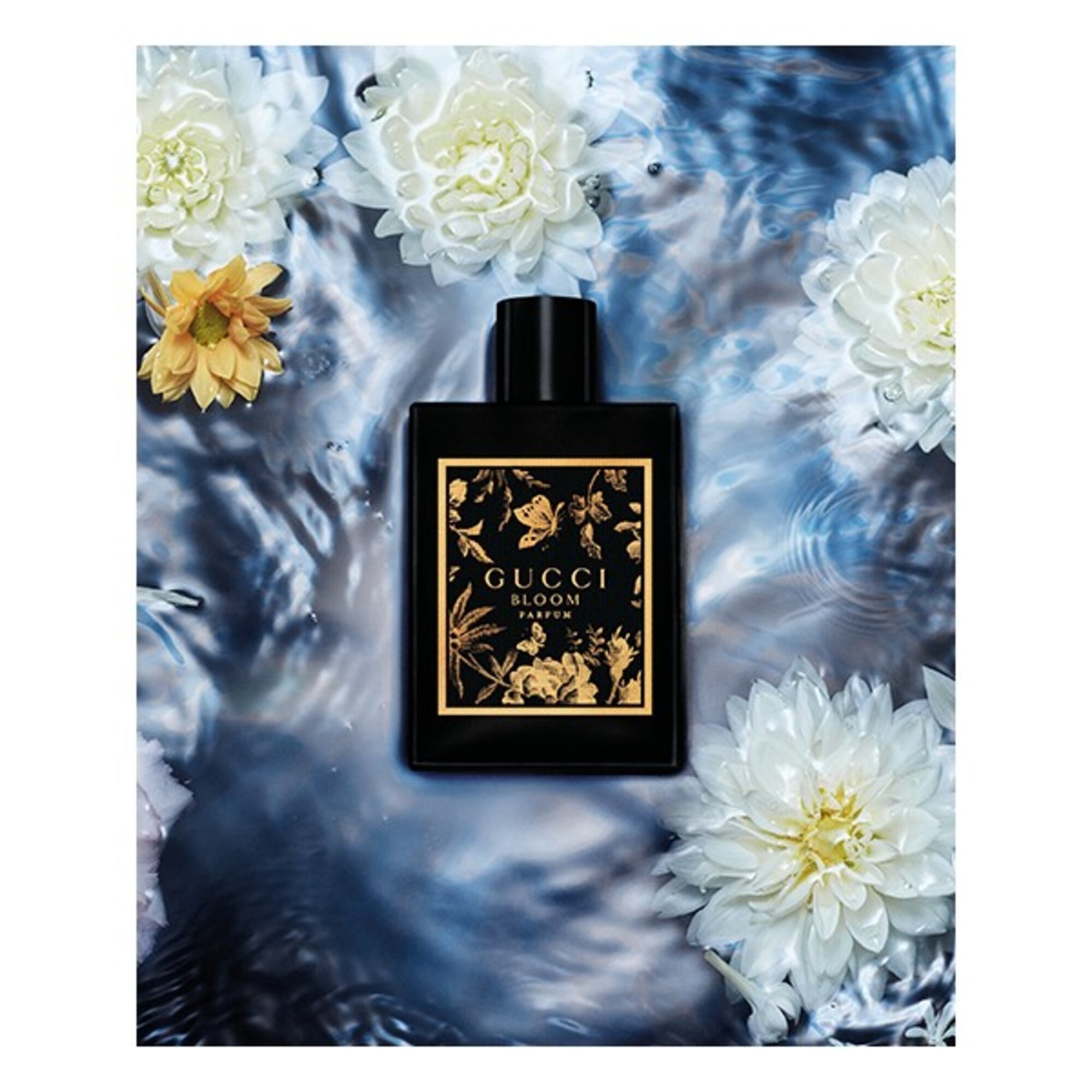50 ML Gucci BLOOM Gucci Bloom Parfum 1 of 4