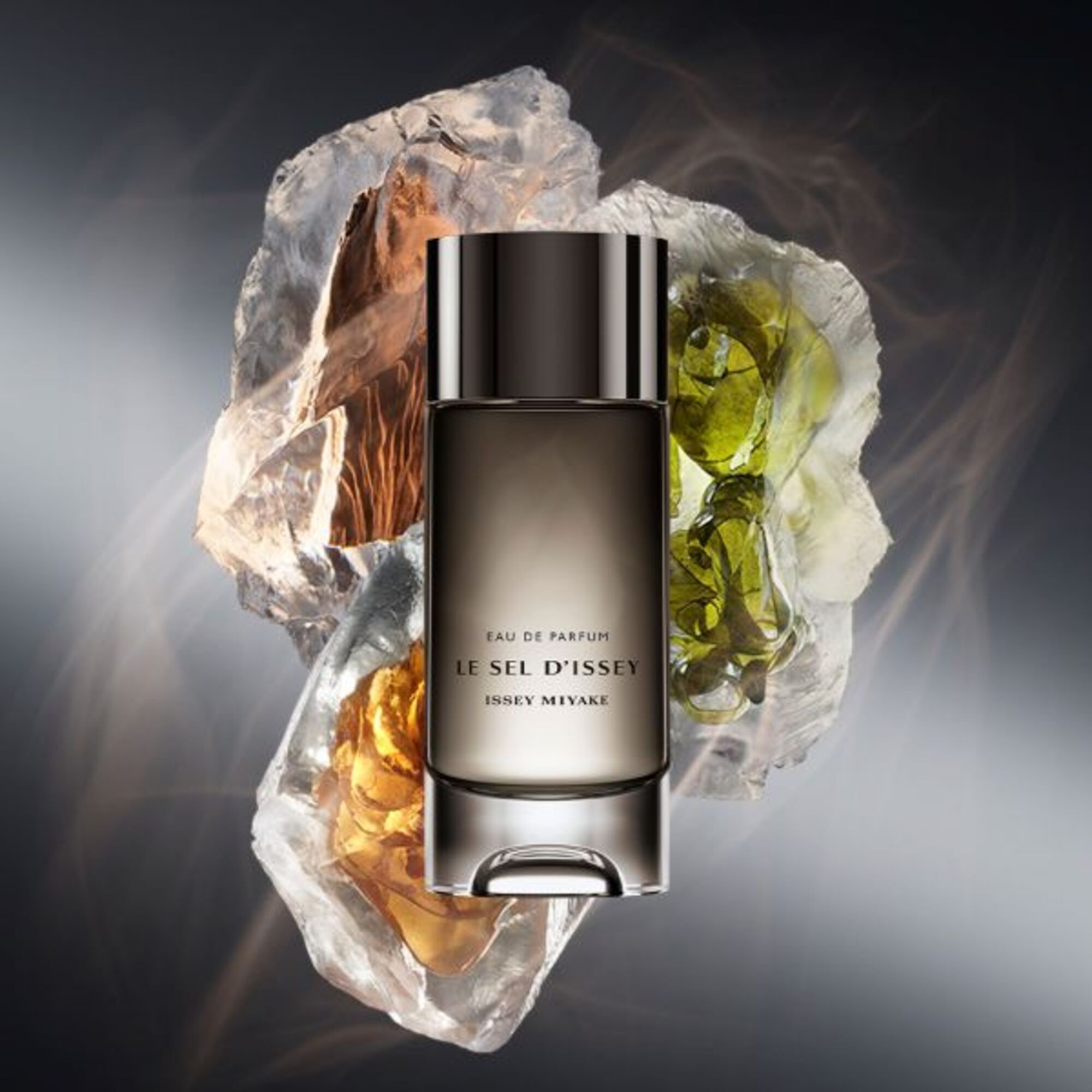 100 ML Issey Miyake L'EAU D'ISSEY Le Sel D'Issey Apa de Parfum 1 of 4