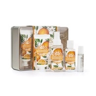 60+90+50+8 ML Somerset AAA Body Care Set de ingrijire Orange Blossom  