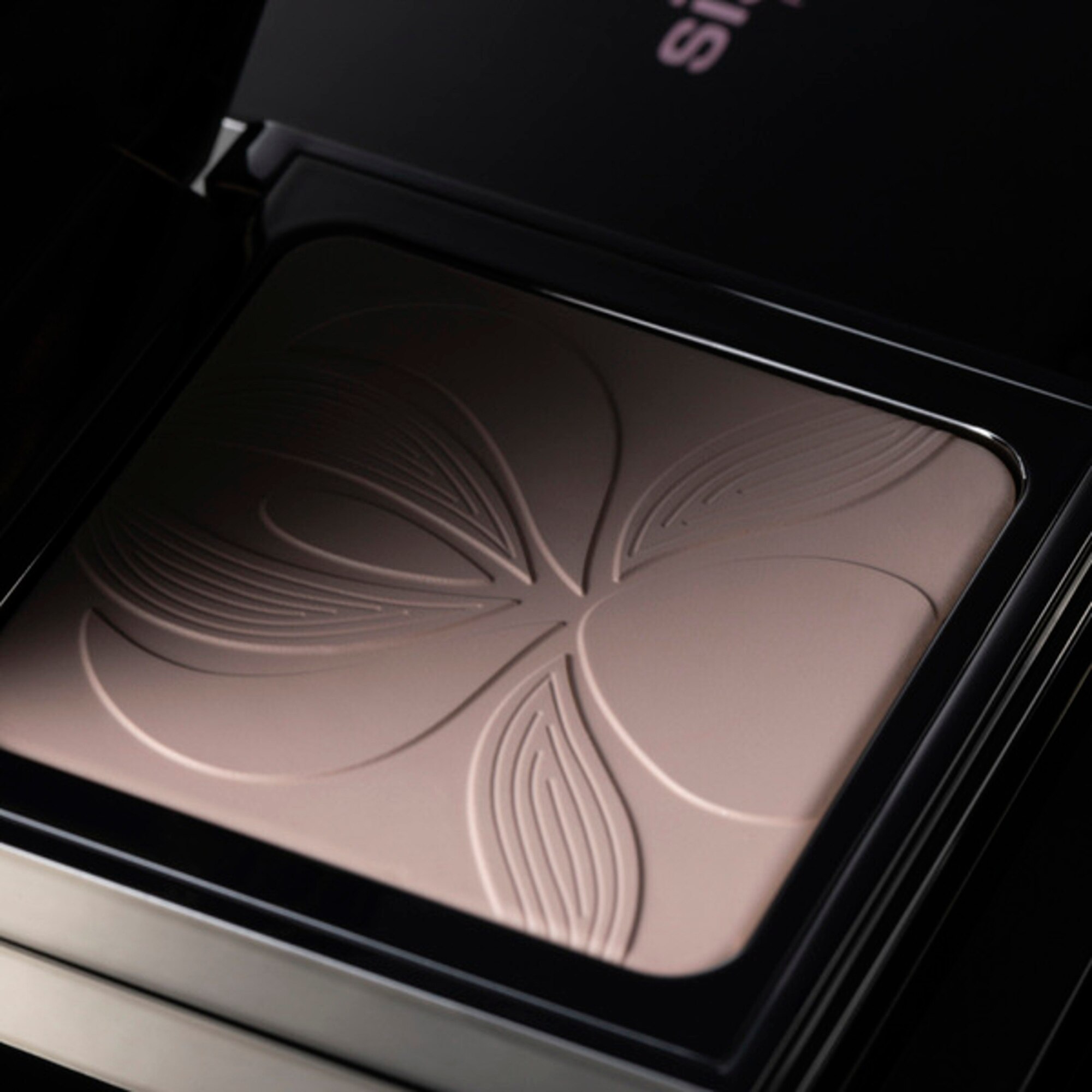 Pudra compacta Blur Expert