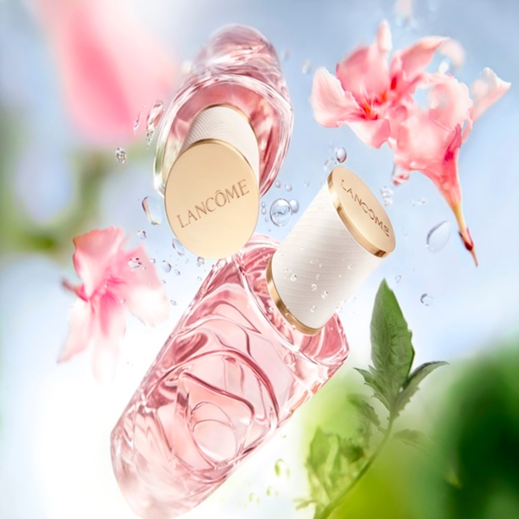 Ôver The Top Apa de Toaleta