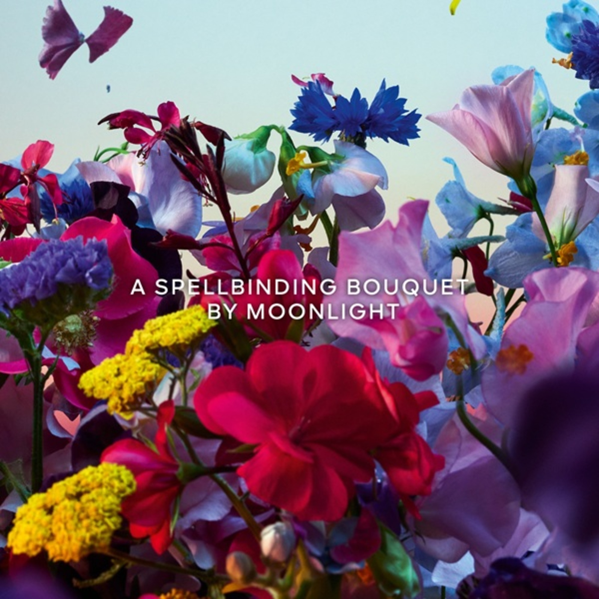 Absolus Allegoria Florabloom Apa de Parfum