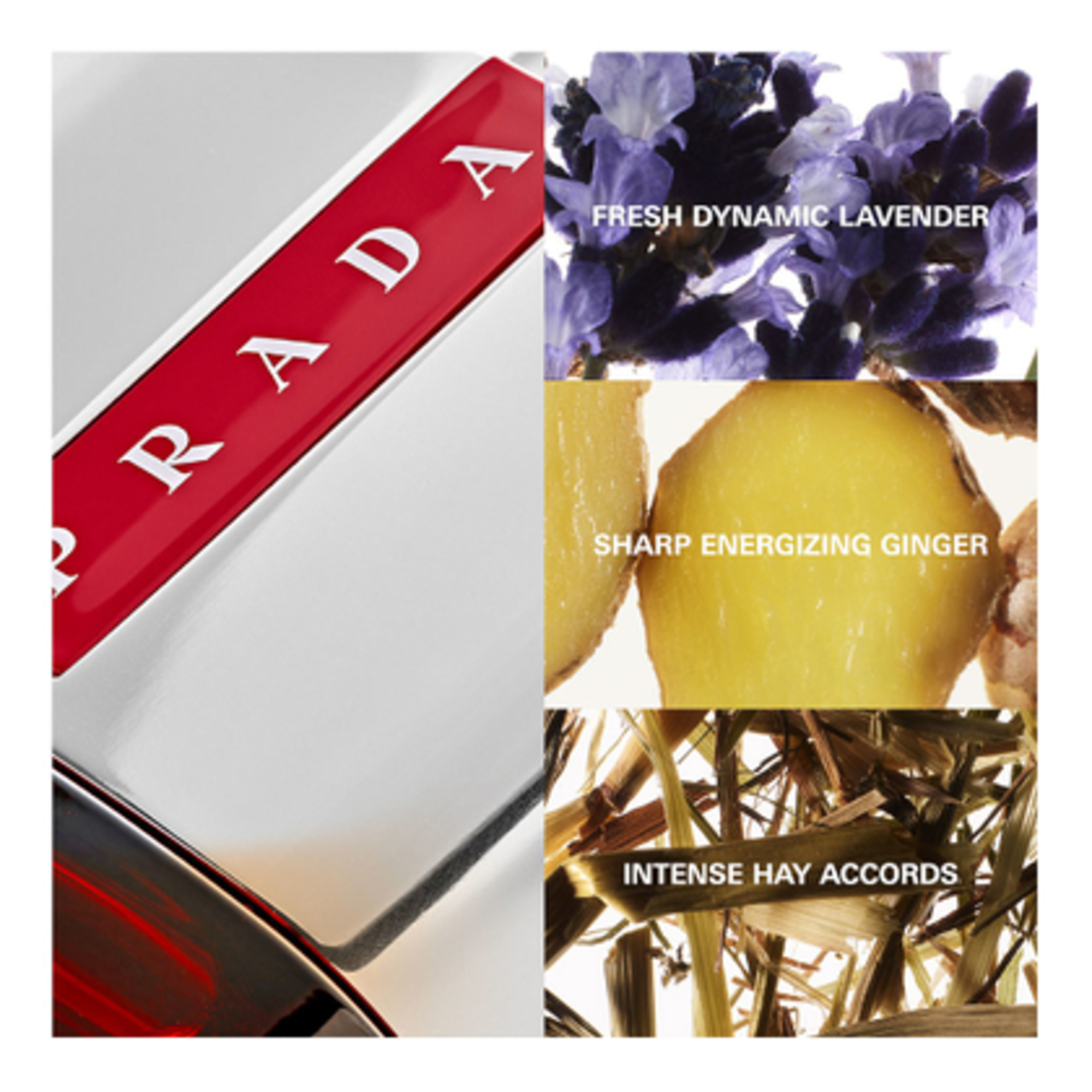 Luna Rossa Sport apa de toaleta