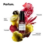 30 ML L'OREAL PROFESSIONNEL Apha-silane, ser de par, serum par, sar, ser protectie termica, protectie termica pentru par, anti-frizz, anti umiditate, stralucire, par stralucitor, ser hidratare Serum pentru par vopsit 4 of 8 Serum pentru par vopsit