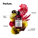 300 ML L'OREAL PROFESSIONNEL Vitamino Color Spectrum Sampon pentru par vopsit pentru fixarea culorii  4 of 8 Sampon pentru par vopsit pentru fixarea culorii