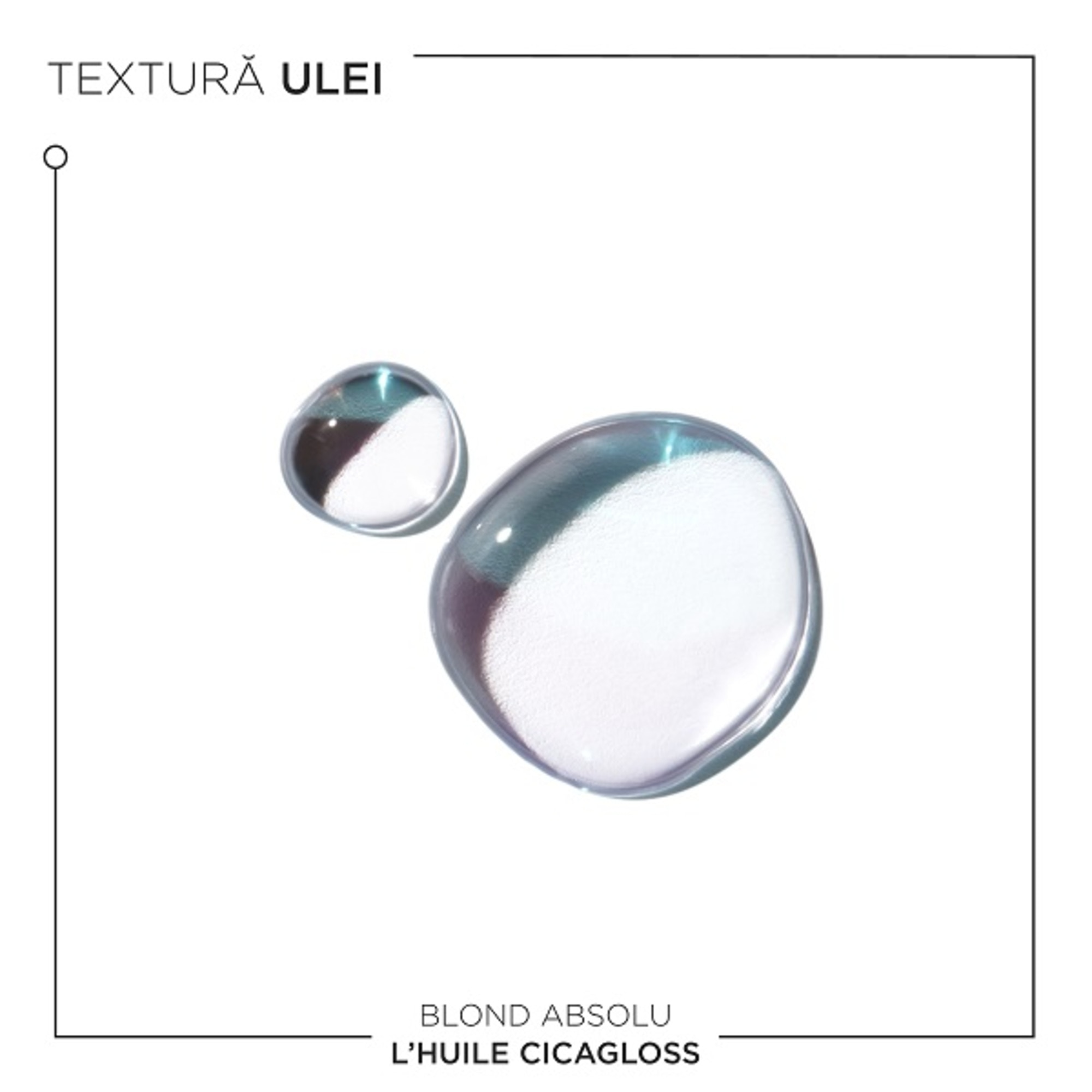 Ulei pentru par blond Blond Absolu L'Huile Cicagloss