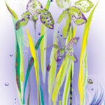 50 ML Sisley L Eau Revee L Eau Revee d Alma Apa de Toaleta 5 of 7 L Eau Revee d Alma Apa de Toaleta