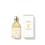 75 ML GUERLAIN Aqua Allegoria Aqua Allegoria Mandarine Basilic Apa de Toaleta  2 of 2 Aqua Allegoria Mandarine Basilic Apa de Toaleta