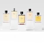 75 ML Hermès TERRE D'HERMES Pure Perfume  2 of 3 Pure Perfume