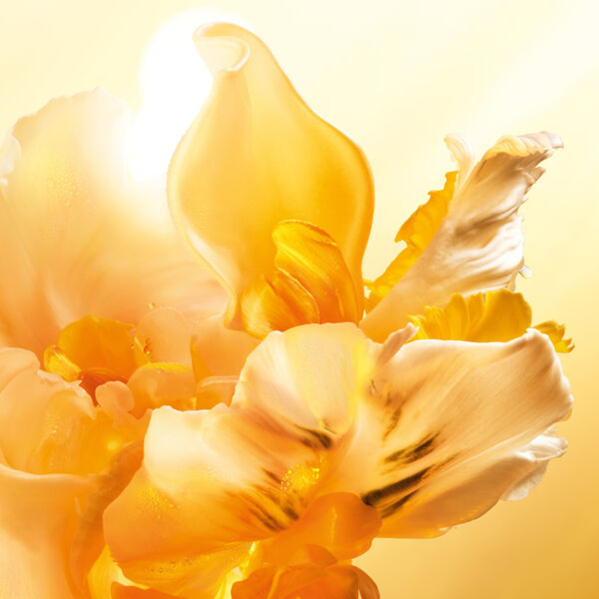 J'adore Roller Pearl Apa de Parfum