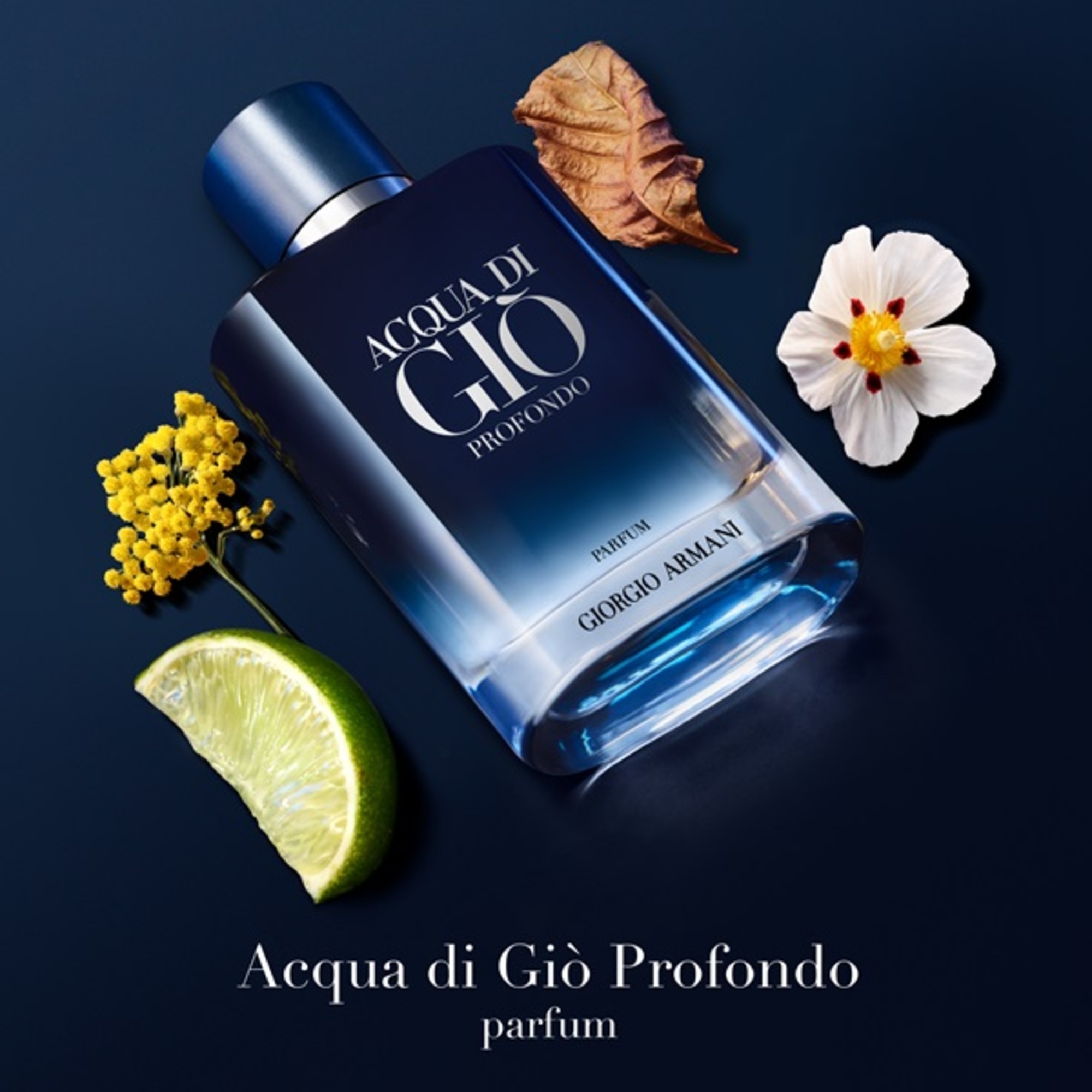 100 ML Armani ACQUA DI GIO Acqua di Gio Profondo Parfum 1 of 2