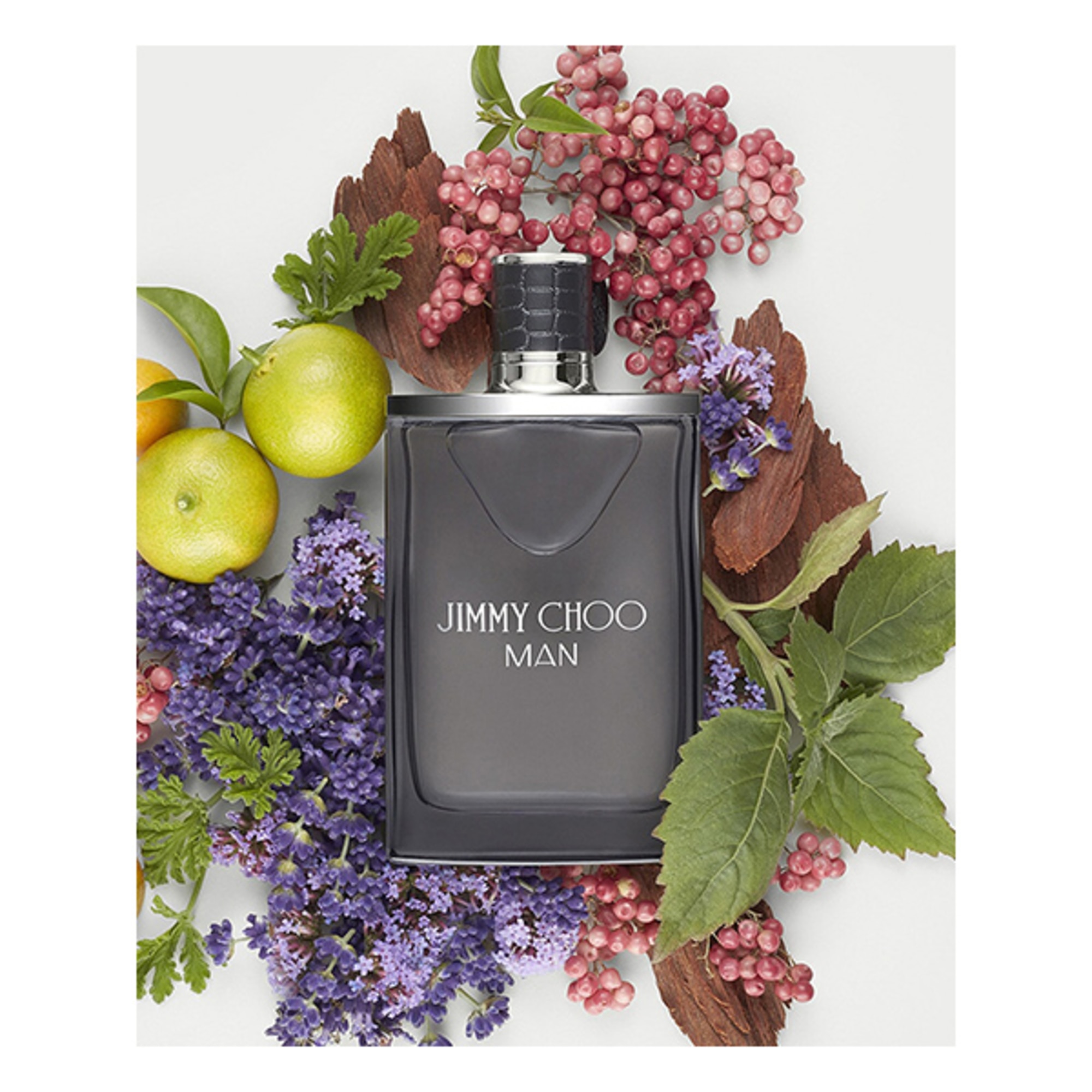 100 ML Jimmy Choo Man Man Apa de Toaleta 2 of 3 Man Apa de Toaleta