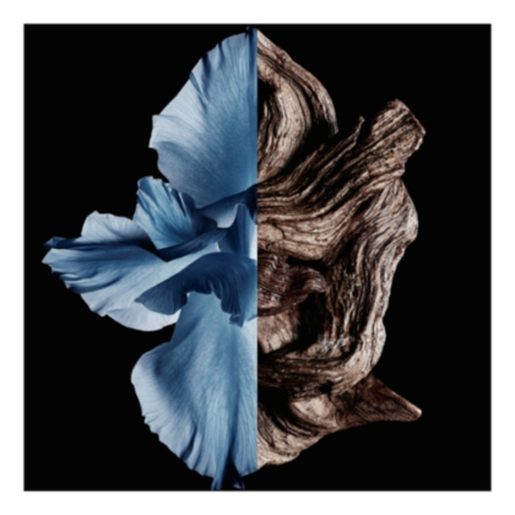 Gentleman Apa de Toaleta Intense