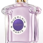 75 ML GUERLAIN Insolence Insolence Apa de Parfum 3 of 3 Insolence Apa de Parfum