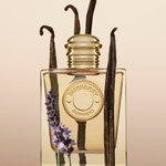 30 ML Burberry GODDESS Burberry Goddess Apa de Parfum  6 of 8 Burberry Goddess Apa de Parfum