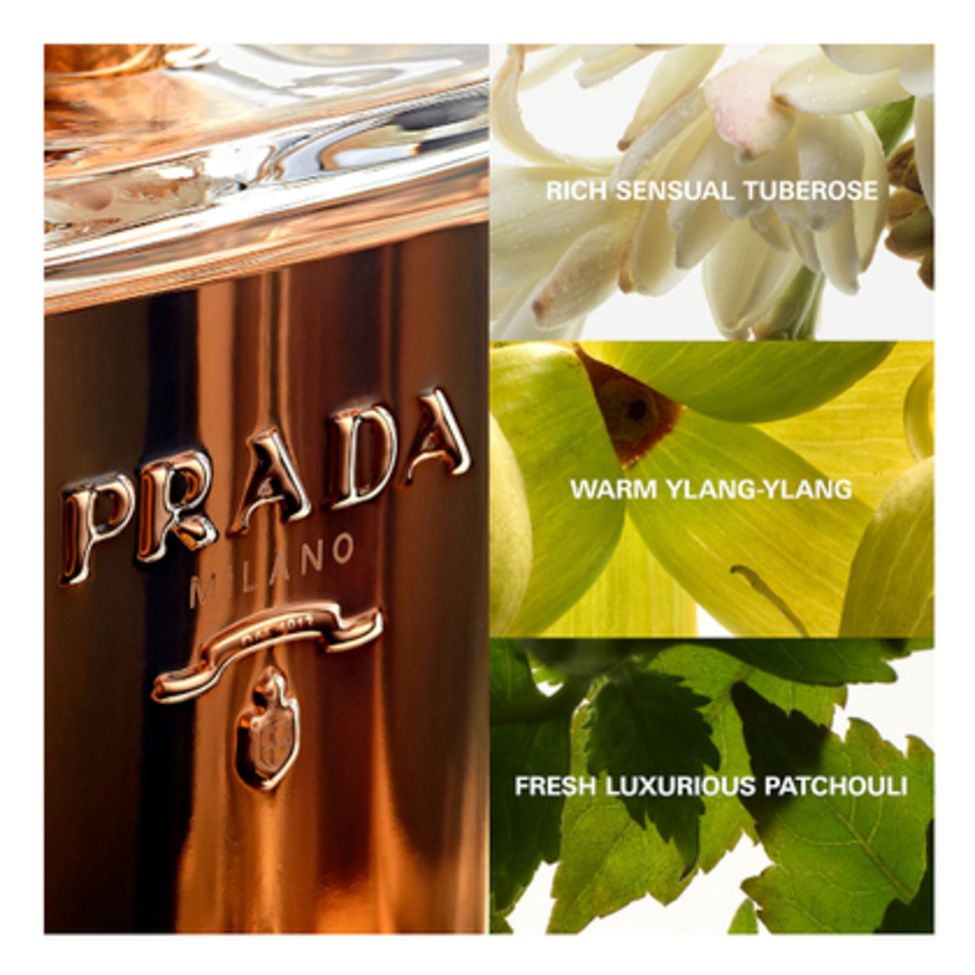 La Femme Prada Intense, Apa de Parfum
