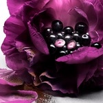 100 ML Lancôme TRESOR LA NUIT La Nuit Tresor Le Parfum 3 of 3 La Nuit Tresor Le Parfum