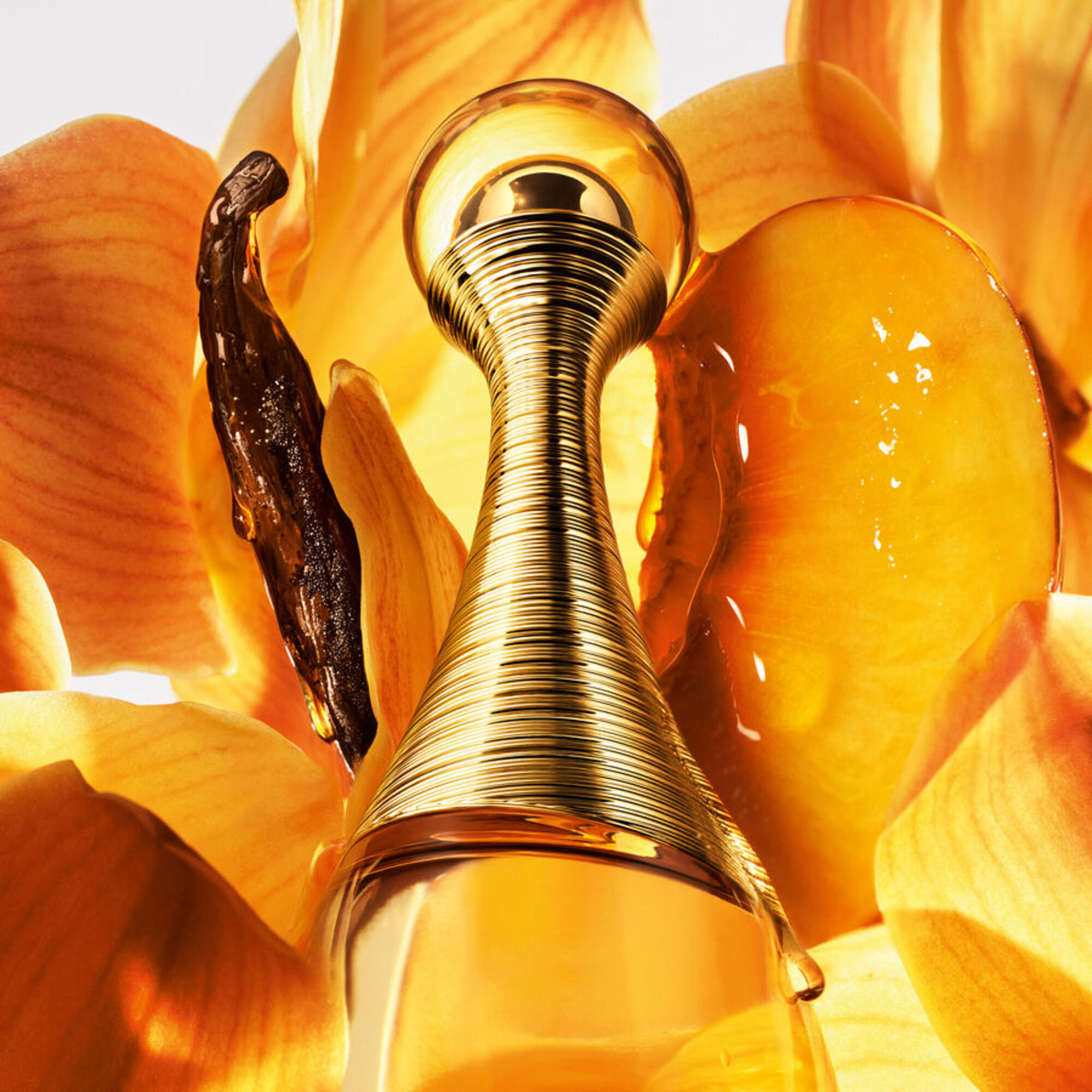 100 ML Dior J'ADORE J'adore Intense Parfum 1 of 8