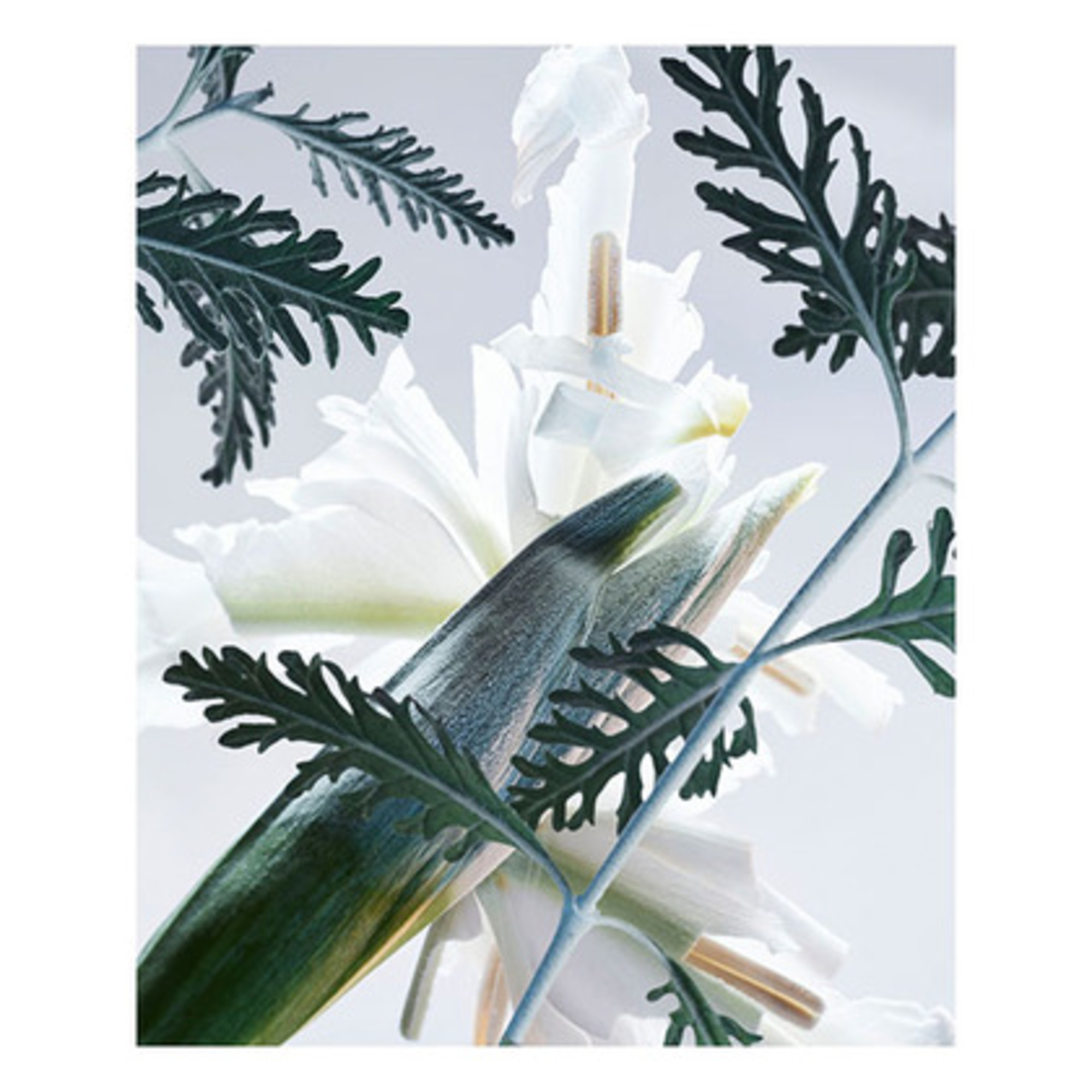 Man Glacial Essence Apa de Parfum