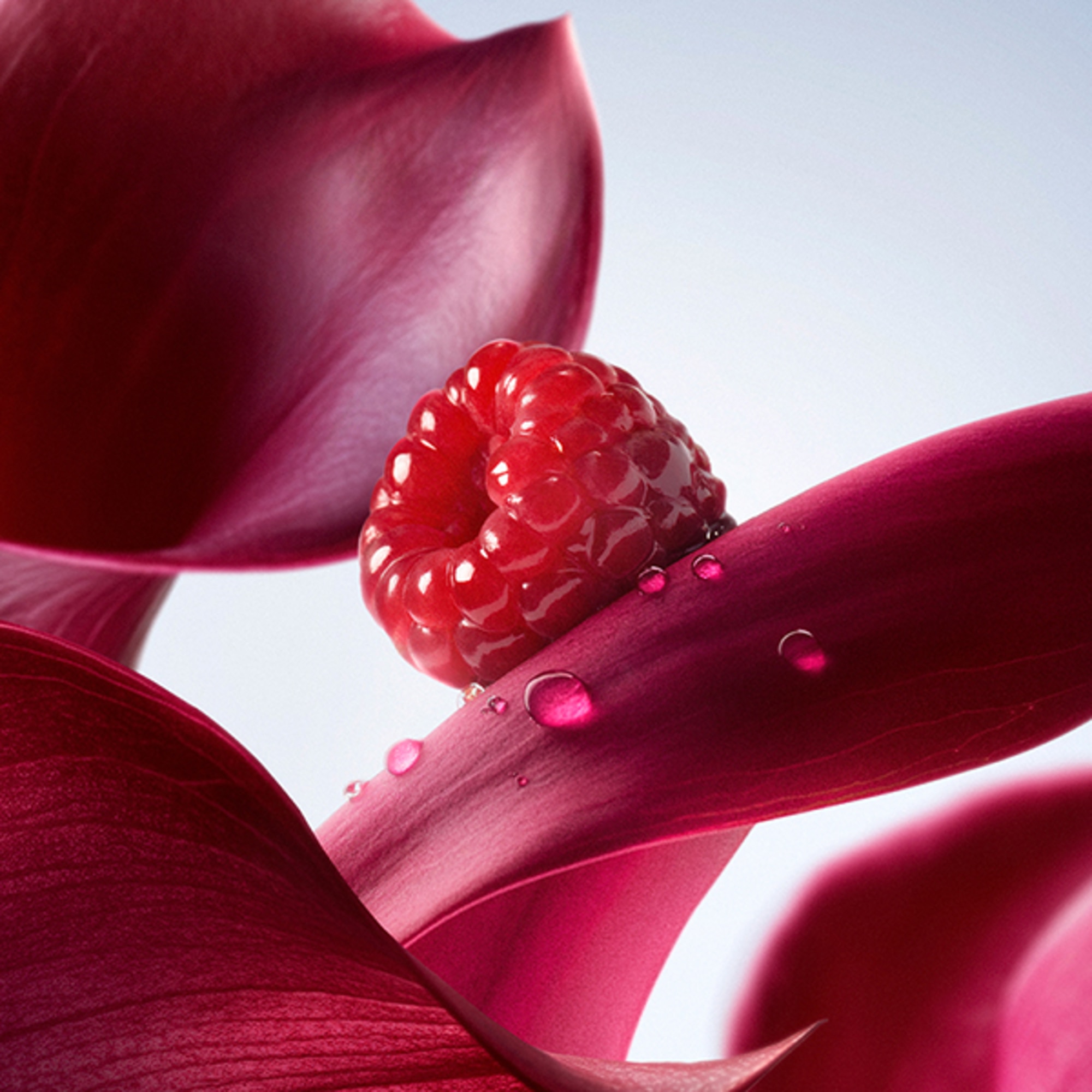 La Vie Est Belle L'Elixir Mist parfumat pentru corp si par