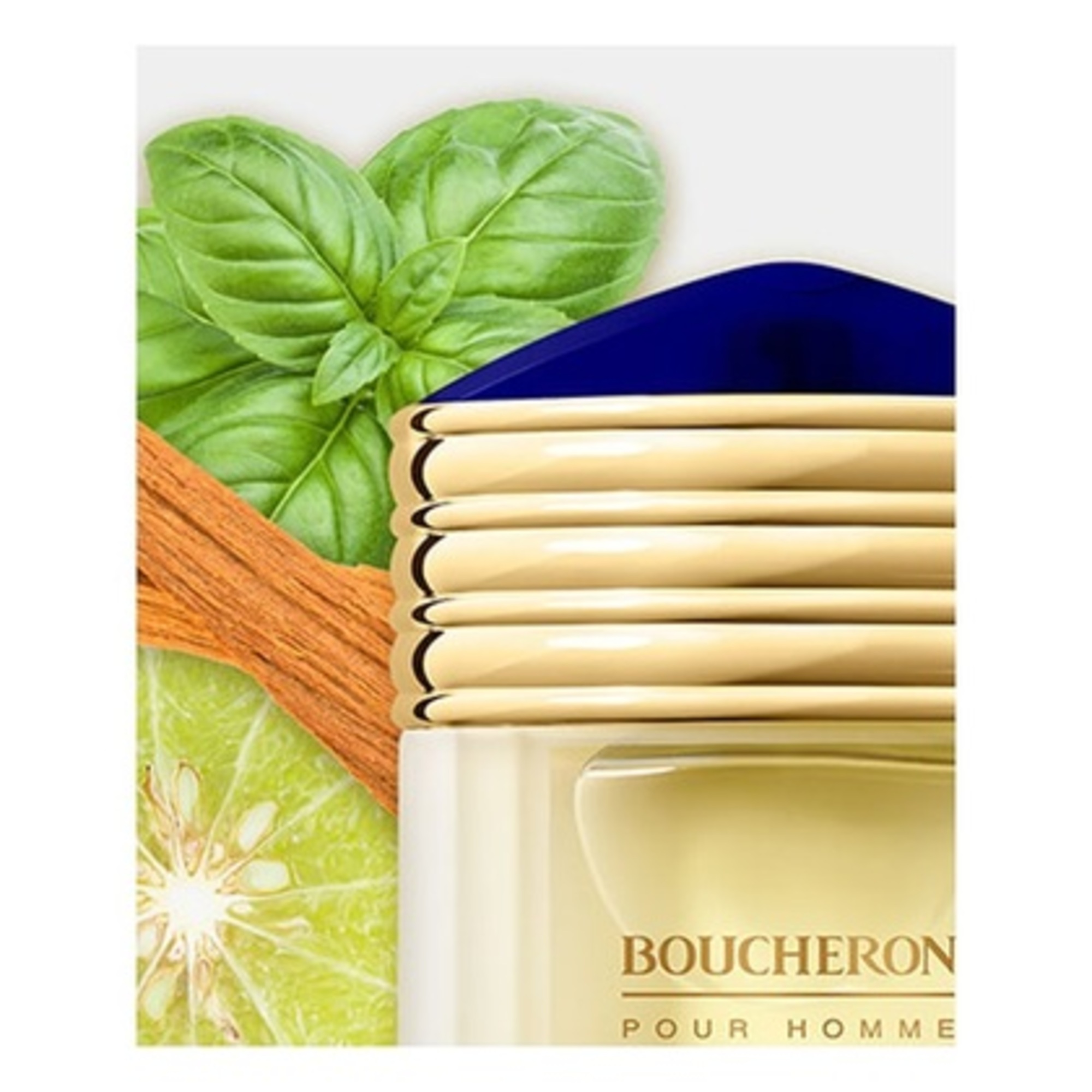 Boucheron pour Homme Apa de Parfum