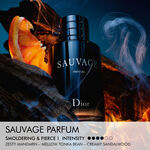 100 ML Dior SAUVAGE Savage Parfum Editie Limitata  2 of 4 Savage Parfum Editie Limitata