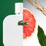 75 G Lacoste L.12.12 Lacoste L.12.12 Blanc deodorant stick 2 of 2 Lacoste L.12.12 Blanc deodorant stick