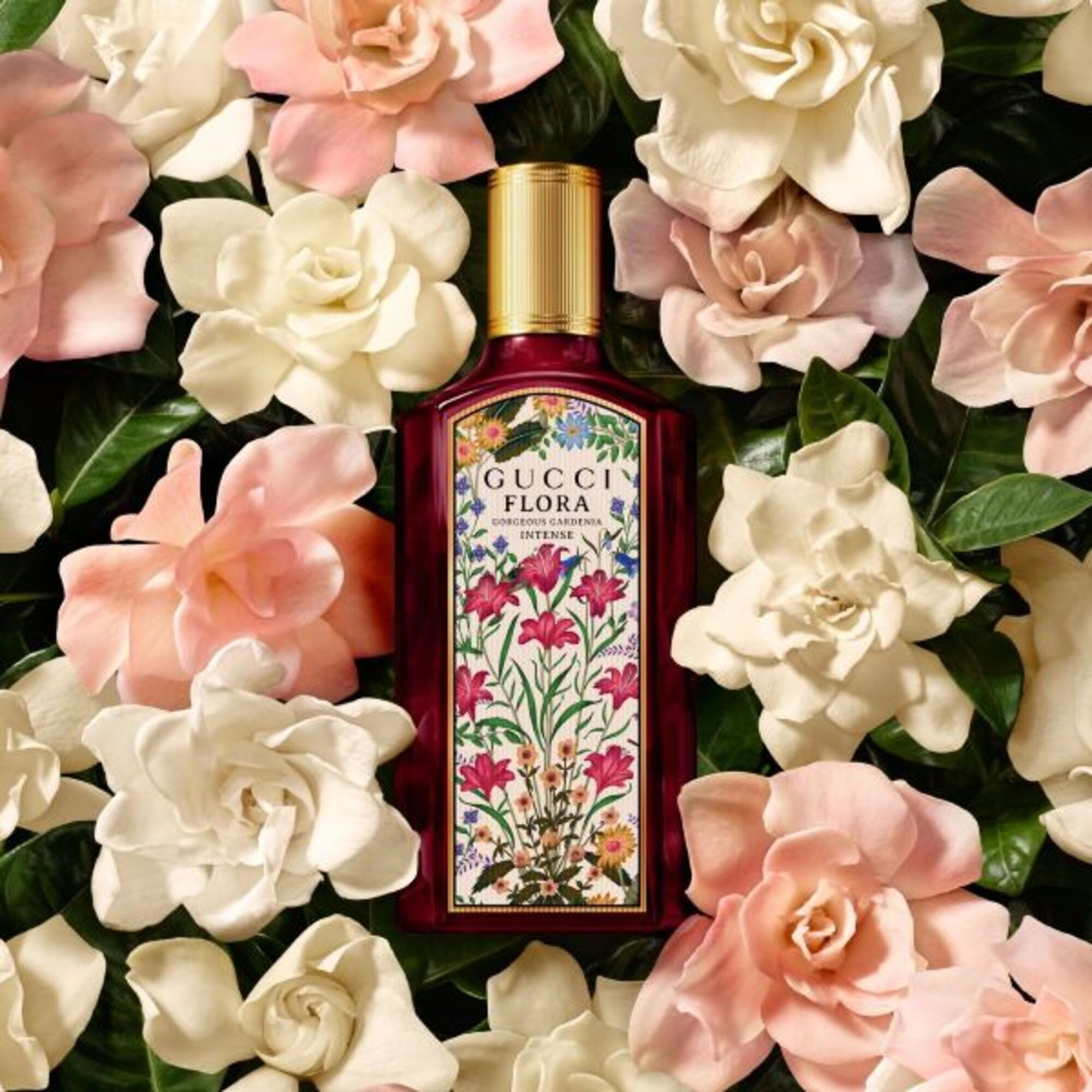50 ML Gucci FLORA Flora Gorgeous Gardenia Intense Apa de Parfum 1 of 5