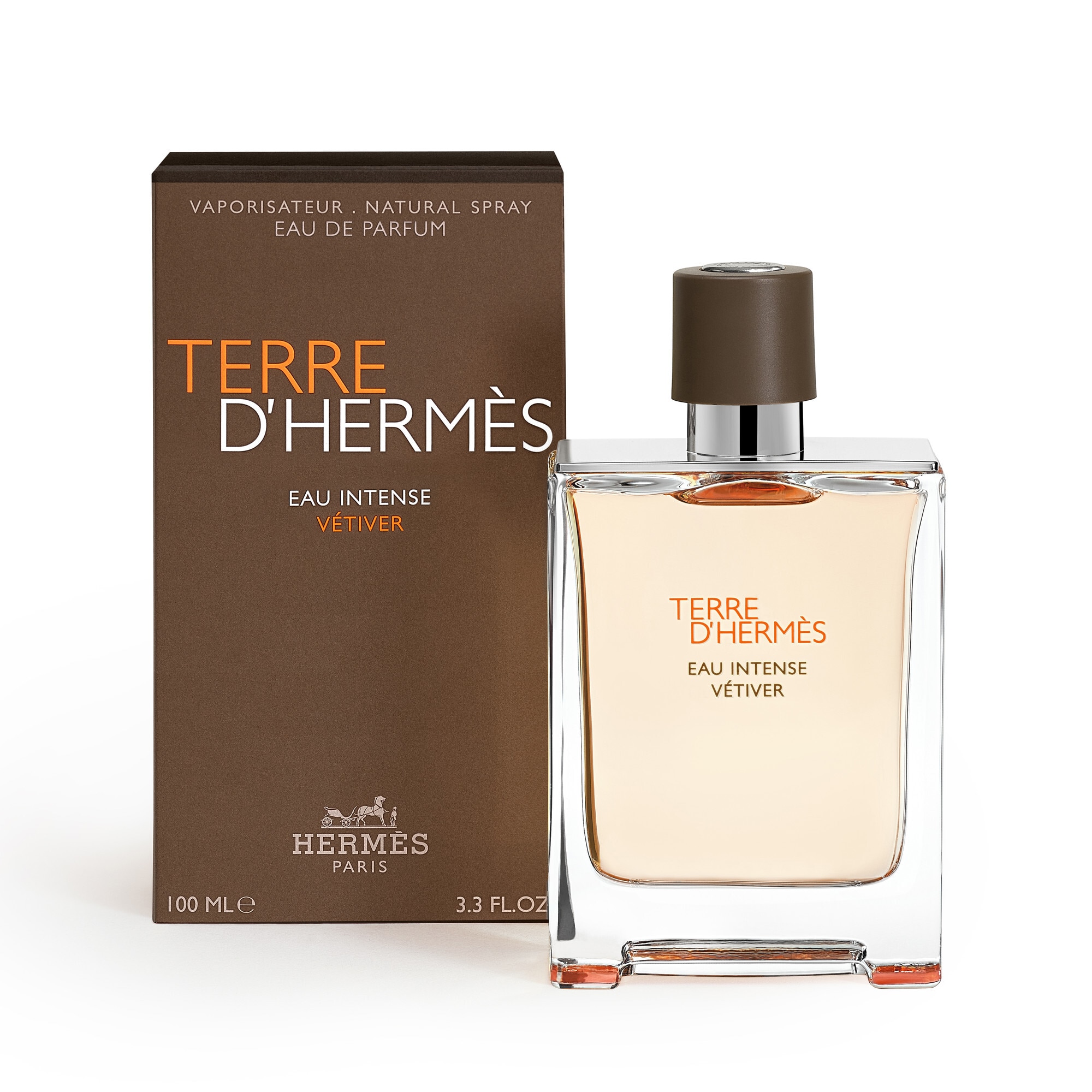 100 ML Hermès TERRE D'HERMES Eau Intense Vètiver Apa de Parfum  1 of 2 