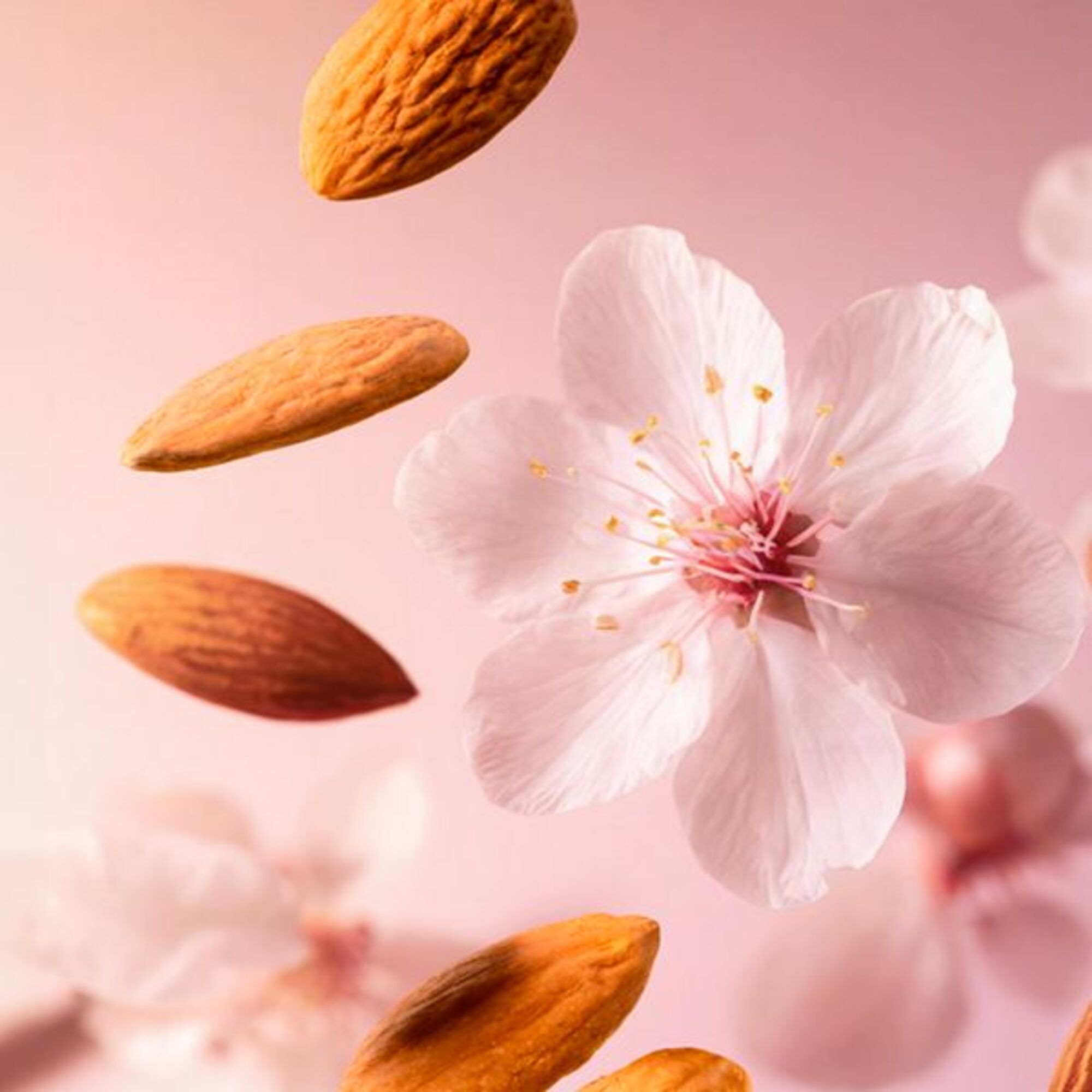 Ulei de dus The Ritual of Sakura