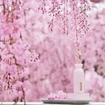 70 ML Rituals SAKURA Betisoare parfumate Sakura  2 of 3 Betisoare parfumate Sakura