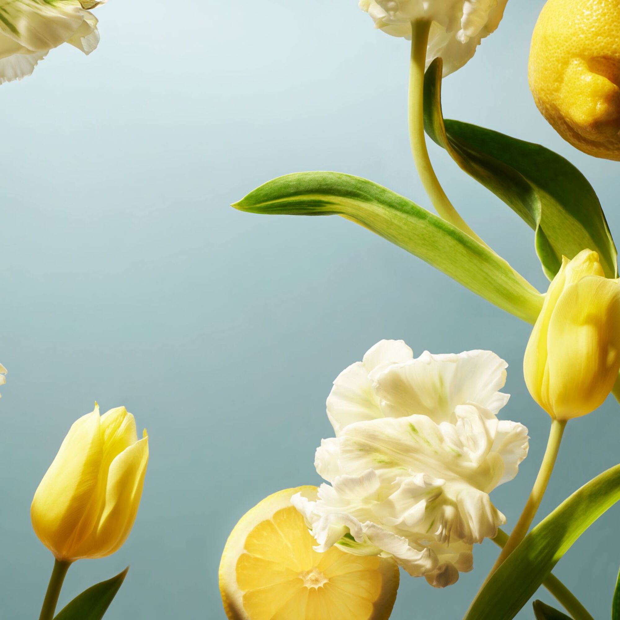 Set de ingrijire Easter