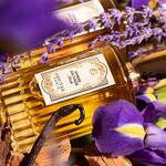 100 ML Annick Goutal Ambre Sauvage Ambre Sauvage Apa de Parfum  4 of 6 Ambre Sauvage Apa de Parfum