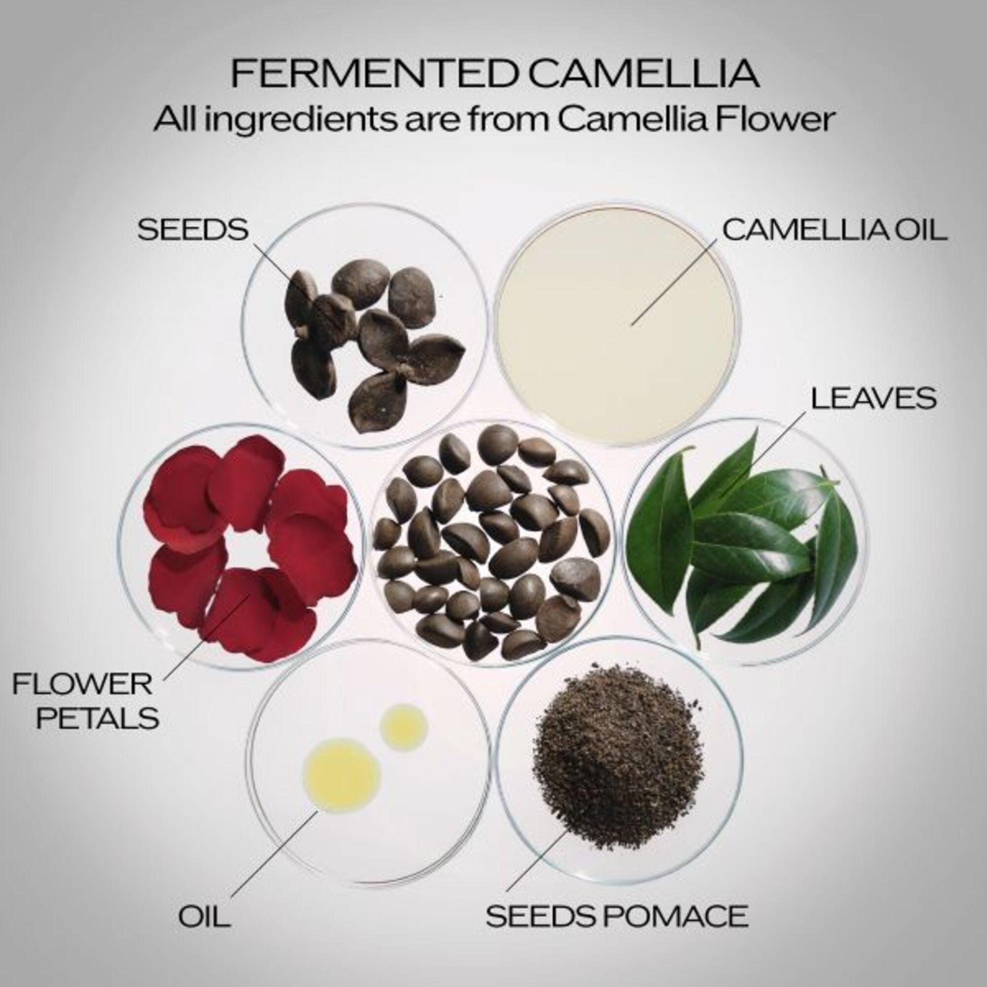 Serum Ultimune Power Infusing