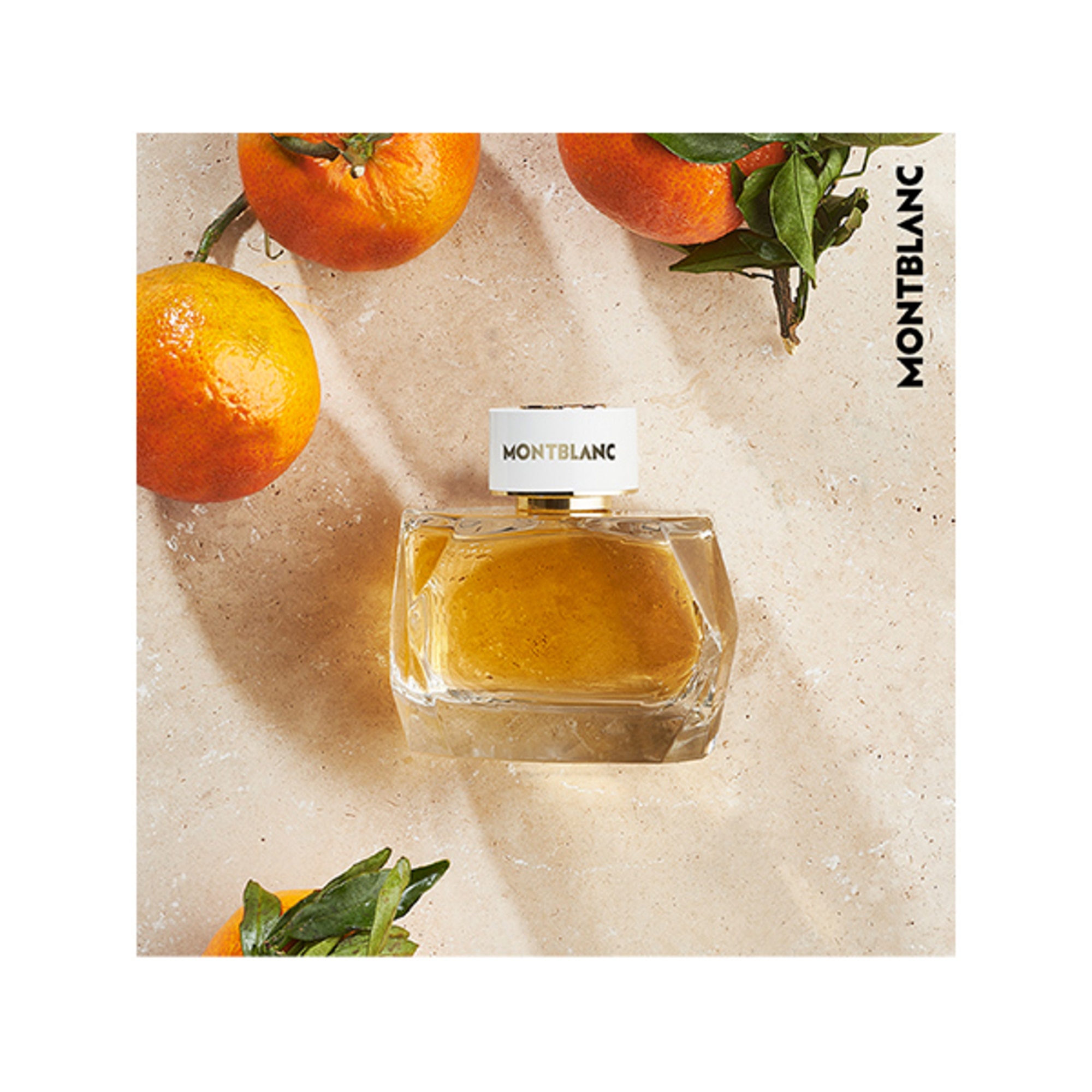 Signature Absolu Apa de Parfum