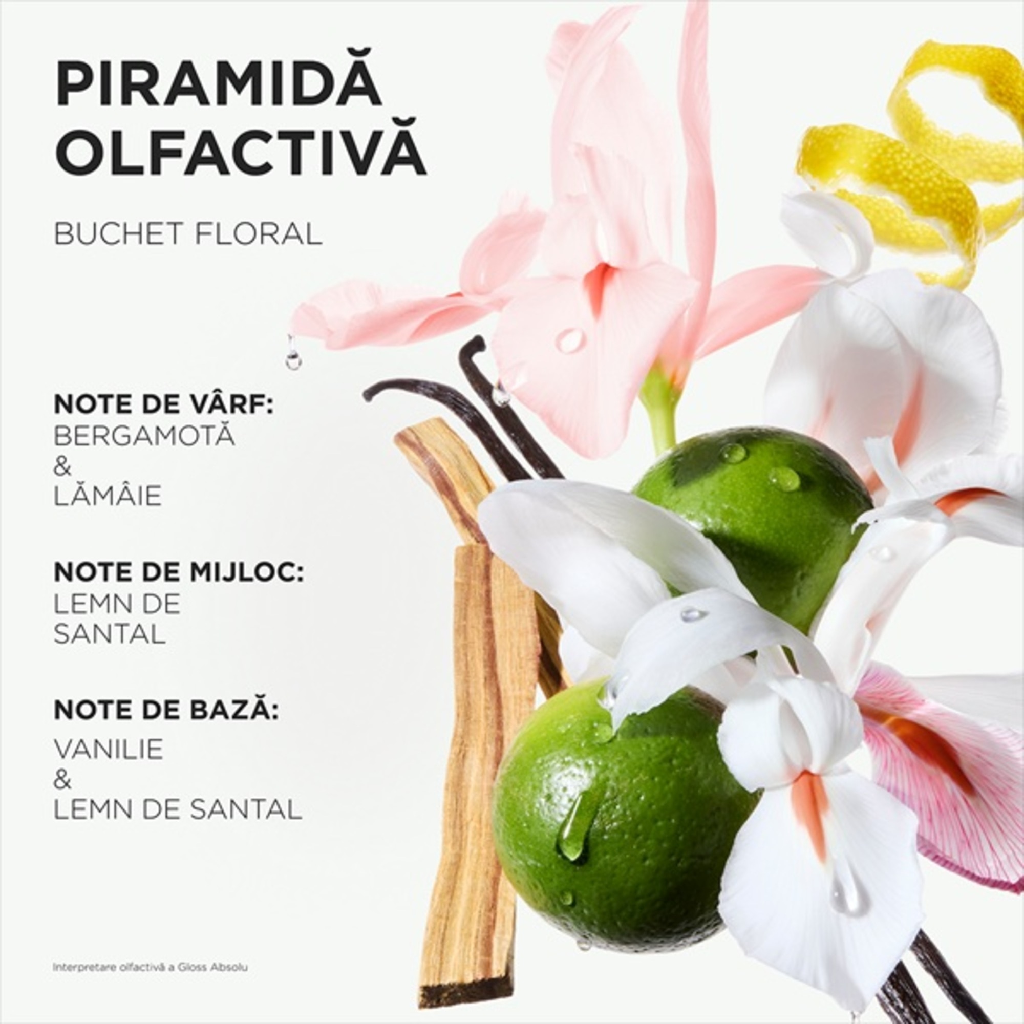 Sampon cremos Gloss Absolu