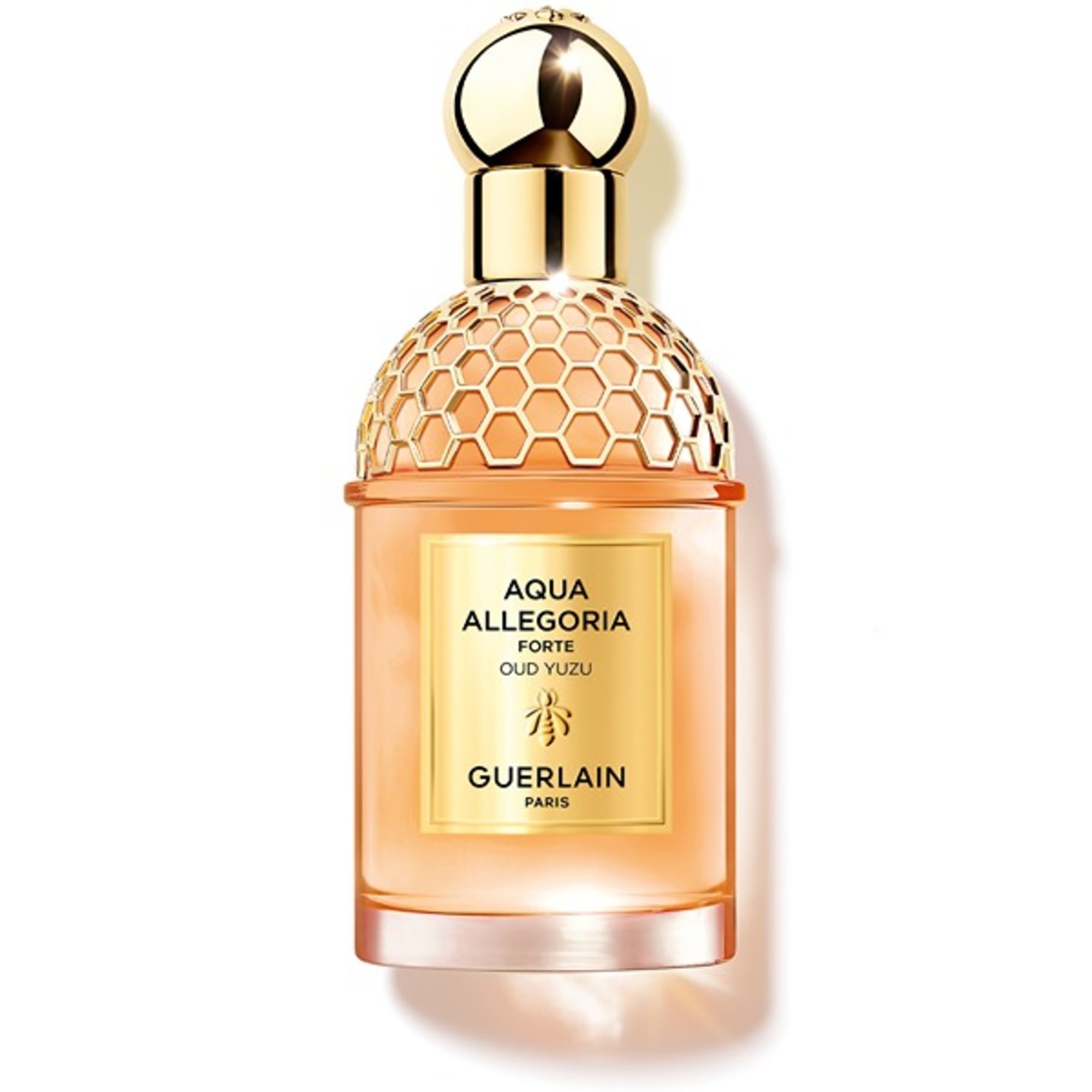 75 ML GUERLAIN AQUA ALLEGORIA Aqua Allegoria Oud Yuzu Forte Apa de Parfum 1 of 3
