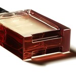 100 ML Hermès TERRE D'HERMES Terre d'Hermes Apa de Parfum Intense  2 of 4 Terre d'Hermes Apa de Parfum Intense